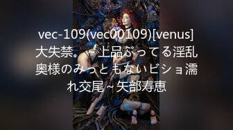 vec-109(vec00109)[venus]大失禁。～上品ぶってる淫乱奥様のみっともないビショ濡れ交尾～矢部寿恵