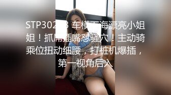 女仆装母狗系列，微露脸，姿势很多，最后第一人称内射