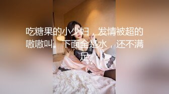 太完美了 满足幻想 AI绘画 付费打包 S级画师PixivID9171005 普通+FANBOX