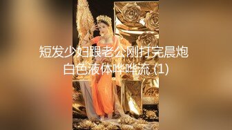 【新片速遞】 游乐场女厕偷拍 牛仔短裙美女的小肥鲍