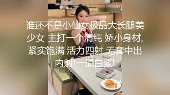 全裸盛宴 极品淫叫第三章 在空中被插入的少女《淫叫健身房》