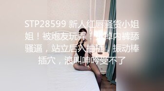 STP28599 新人红唇骚货小姐姐！被炮友玩弄！扒掉内裤舔骚逼，站立后入抽插，振动棒插穴，浪叫呻吟受不了