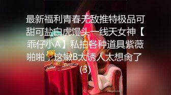 12/27最新 精心整理超多极品女神级美女性感火辣操逼VIP1196