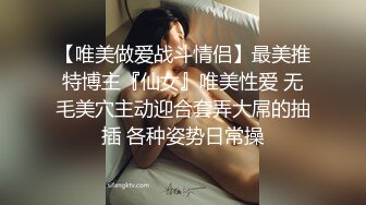 TSF我是分身3 相似的转校生篇