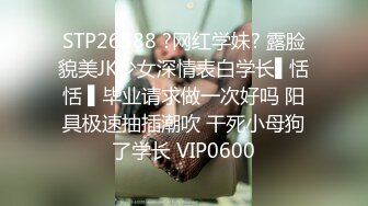 国产AV剧情黄瓜招待所接待会玩魔术的翻译后台调情720P高清无水印版