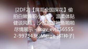 [2DF2]【屌哥全国探花】偷拍白嫩兼职小少妇，温柔体贴健谈风骚，沙发角度鲍鱼啪啪尽情展示 - soav_ev(3565552-9973436)Merge [BT种子]