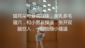 颜值不错的风骚女模特，大辫子漏出骚奶子诱惑狼友跟两位大哥激情3P，让小哥吃奶玩逼轮流爆草抽插，浪叫呻吟