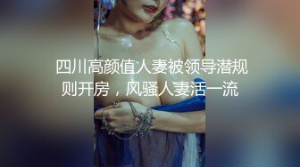 【钻石级推荐】果冻传媒91制片厂精制新作-十九岁D奶少女 被男友甩后下海