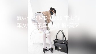 麻豆传媒 MD-0265 丰满汽车女销售的车震b推销-莫夕慈