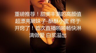 魅惑女仆