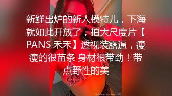 新鲜出炉的新人模特儿，下海就如此开放了，拍大尺度片【PANS 禾禾】透视装露逼，瘦瘦的很苗条 身材很带劲！带点野性的美