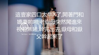 ⚫️⚫️封面女郎顶级女模泄密！推特天花板身材高颜女神【夏義瑶.亚伯拉罕.黄】不雅私拍视图完整版，各种性爱裸身自拍，有钱人玩物