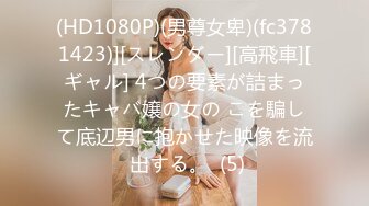 ✿最新流出FC2-PPV限定系列✿温柔贤惠型淑女长发小少妇援交✿先在户外野战一波✿然后酒店大战中出内射