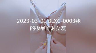  2023-03-01 BLXC-0003我的极品临时女友