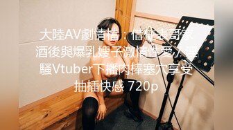 大陸AV劇情檔：借住表哥家酒後與爆乳嫂子激情性愛／淫騷Vtuber下播肉棒塞穴享受抽插快感 720p