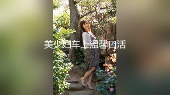 美少妇车上温馨口活