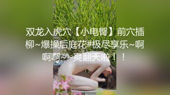 双龙入虎穴【小电臀】前穴插柳~爆操后庭花#极尽享乐~啊啊啊~~爽翻天啦！！