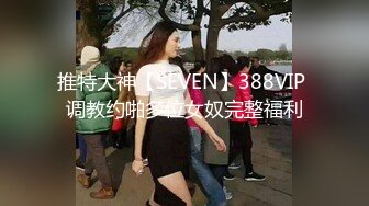 推特大神【SEVEN】388VIP 调教约啪多位女奴完整福利