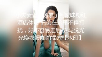 【孕妇也疯狂当巨乳碰上孕期】推特颜值孕妇『奶牛夫人』让人疯狂的爆奶孕妇甜美汁液 操孕妇可内射 高清720P原版