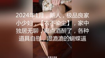 素人自制依涵 极品家政极致性情理