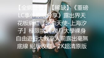 骚狗贱狗母狗婊子妓女老婆