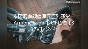 泰国混血颜值浑元巨乳骚货「Armone Sugar」OF私拍【337V】 (244)