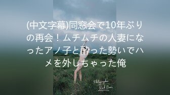 (中文字幕)同窓会で10年ぶりの再会！ムチムチの人妻になったアノ子と酔った勢いでハメを外しちゃった俺