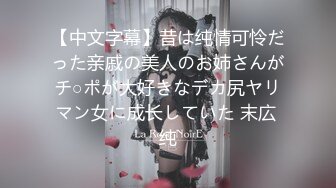 【西野佳一】 (21)