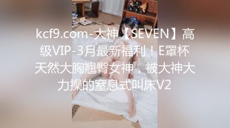 最新网红少女『恶犬』VIP私人定制唯美红玫瑰黑旗袍 美乳肌肤 振动器按摩嫩穴 搔首弄姿 浪叫高潮 