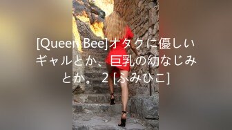 [Queen Bee]オタクに優しいギャルとか、巨乳の幼なじみとか。 2 [ふみひこ]