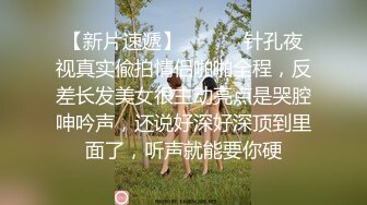 推特S級身材美艷翹臀女神【小可愛】不雅私拍～旅遊露出性愛野戰公共場所啪啪各個地方都是戰場～稀缺資源值得收藏 (4)