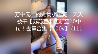 HEYZO 0059 一度火がついたら止まらない – 甲斐ミハル