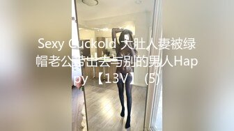 Sexy Cuckold 大肚人妻被绿帽老公带出去与别的男人Happy 【13V】 (5)