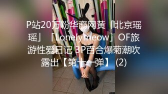 P站20万粉华裔网黄「北京瑶瑶」「Lonelymeow」OF旅游性爱日记 3P百合爆菊潮吹露出【第十一弹】 (2)